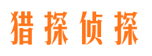 靖安侦探公司